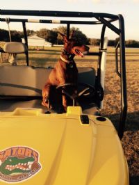 View n729kb's Homepage