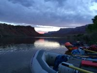 View tomplant's Homepage