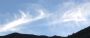 usefultree