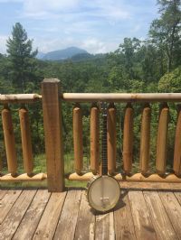 View PisgahBound's Homepage