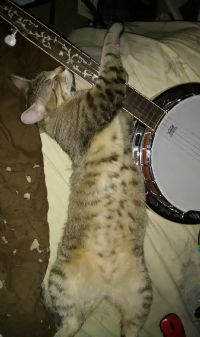 View boredinyak's Homepage