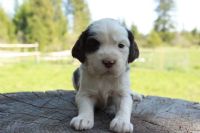 View bitz's Homepage