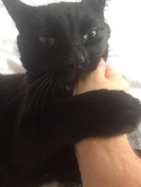 View jason lee's Homepage