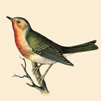 View E Field's Homepage