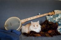 View banjocatpdx's Homepage