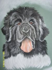 View Vanjo's Homepage