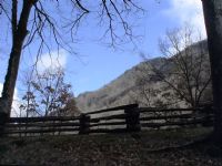 View BluegrassBanjo's Homepage