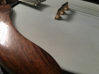View 21stCenturyBanjo's Homepage
