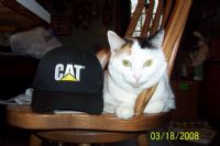 View Catman's Homepage