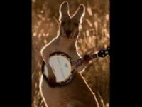 View aussiebanjo's Homepage
