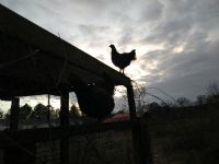 View Jon Lull's Homepage