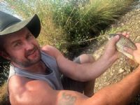 View DavidLowe's Homepage