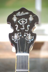 View Muletrain's Homepage