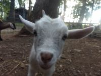 View PA Hillbilly's Homepage