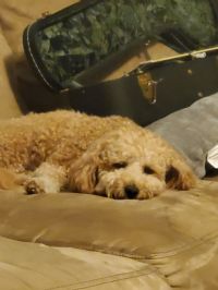 View Surfbrah's Homepage