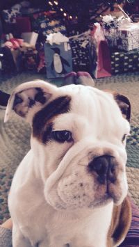 View cwhedges' Homepage