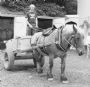 Enfield1858