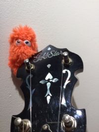 View CeeBeeBanjo's Homepage