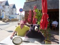 View calico's Homepage