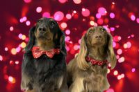 View rbdavis2's Homepage