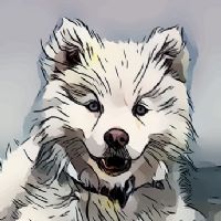 View Talldog's Homepage