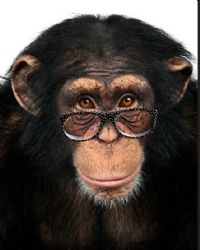 View eccles' Homepage