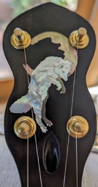 View banjo_st3ve's Homepage