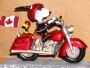 joebiker