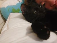 View TheRainyPatriot's Homepage