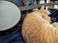 View brittwilliame's Homepage