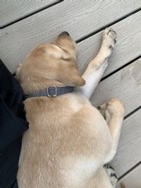 View emclachlan's Homepage