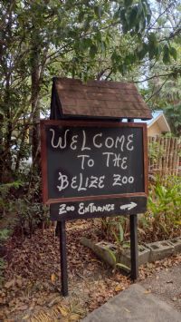 View BanjoBeeman's Homepage