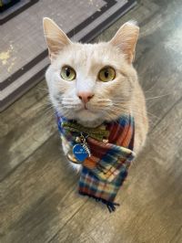 View banjo-adjacent's Homepage