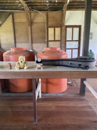 View JungleMike's Homepage