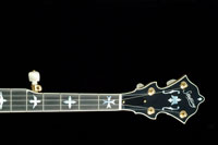 View Banjo Bug's Homepage