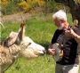 Ian_banjo