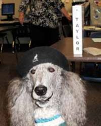 View Hankster2's Homepage