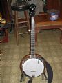Gibson Flying Eagle