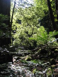 View mlynch11's Homepage