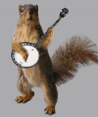 View BanjoBro's Homepage