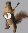 BanjoBro