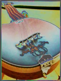 View guitar fan's Homepage