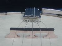 View drrocky's Homepage