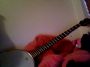 Banjo_Playing_Moose