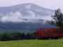 From Greylock to Bean Blossom