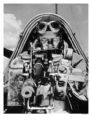 R985wasp