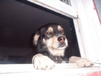 View piltupso's Homepage