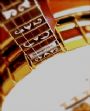 Tele65