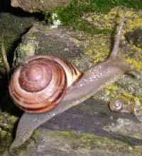 View nbanta's Homepage