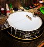 bucky the banjo slayer